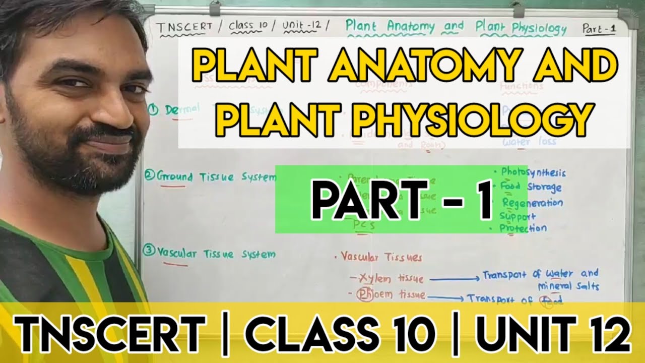 TNSCERT | Class 10 | Unit 12 | Plant Anatomy and Plant Physiology | Part 1