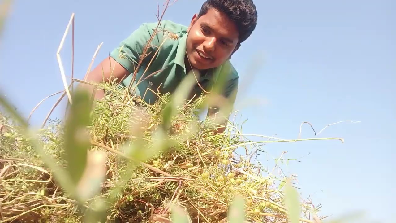 Aaj ham Masuri Katkar Ghar lekar ja rahe the 