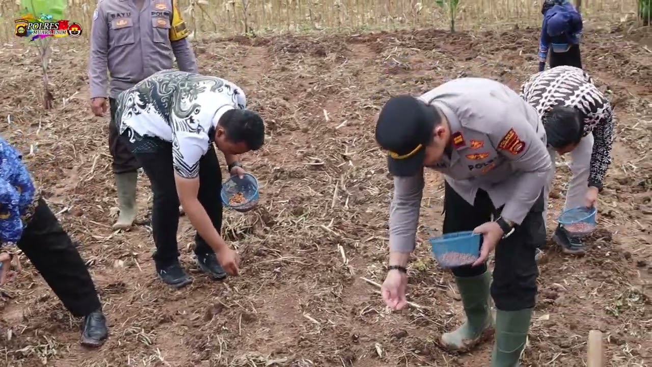 Polsek Lawang Kidul Gelar Penanaman Jagung Serentak Kuartal I Tahun 2026 Dukung Ketahanan Pangan