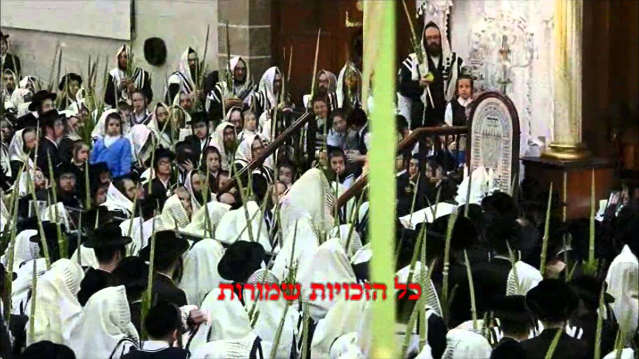 hoshana rabbah 2015 daveining in Satmar - הלל ונענועים ביום הושענא רבה תשע