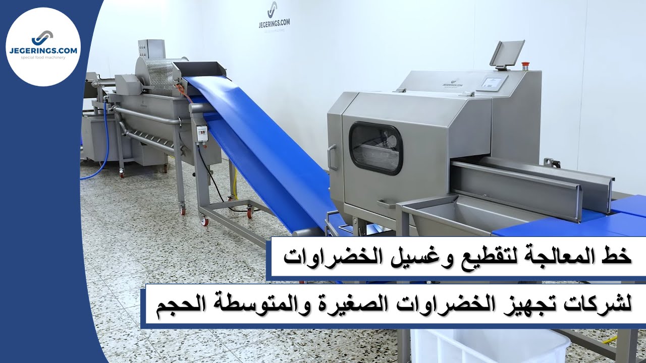خط المعالجة لتقطيع وغسيل الخضراوات للحجم الصغير والمتوسط