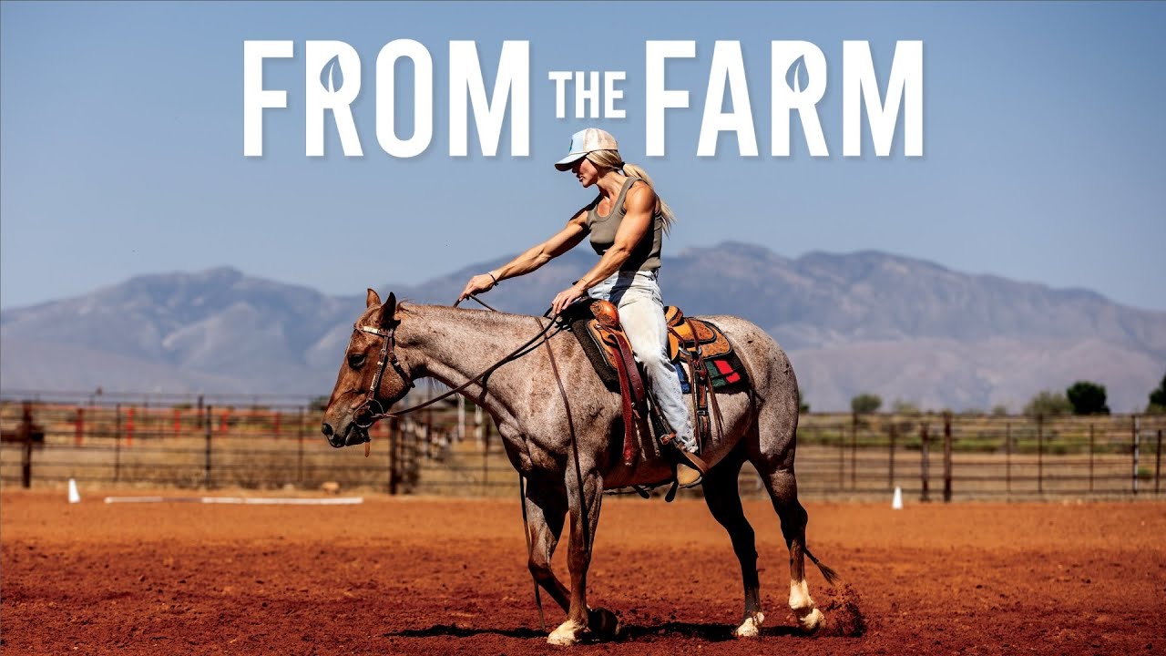 From The Farm