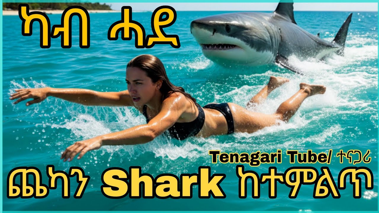 ብ shark ተኸቢባ ካብዚ ቦታ ንምውፃእ ትገብሮ ቃልሲ  Tenagari Tube/ተናጋሪ