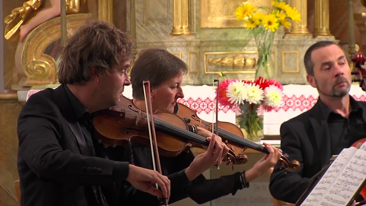 Internationale Kammermusiktage St. Marien - Peter Aigner und Freunde