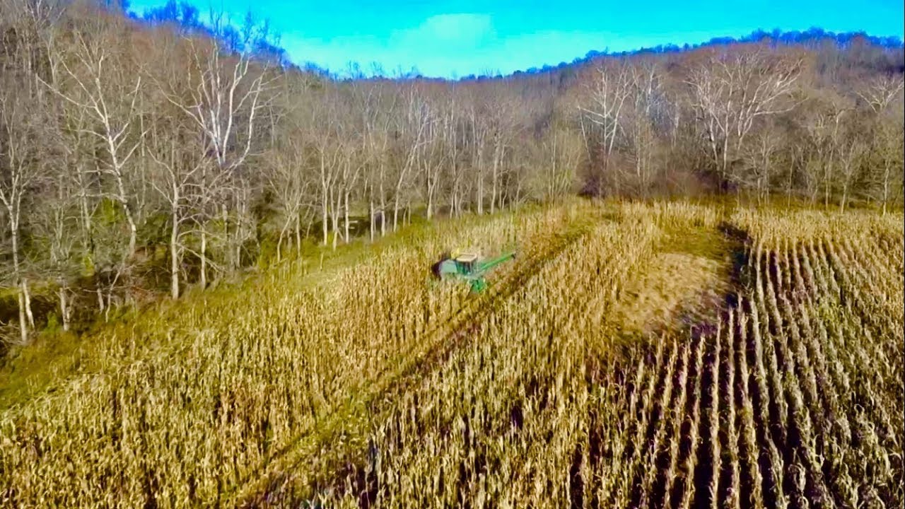 Corn harvest in the hills of Kentucky (long version)