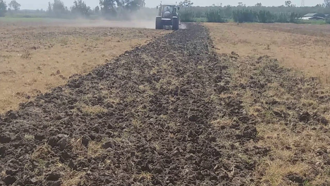 Valtra T234 VERSU / HORSCH TERRANO Caserta