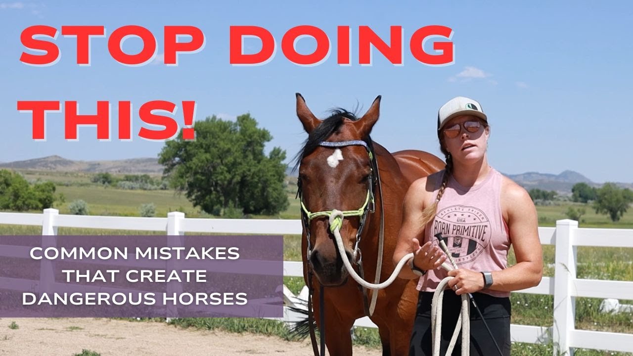 STOP Doing This in Horse Training! Common Mistakes That Create Dangerous Horses