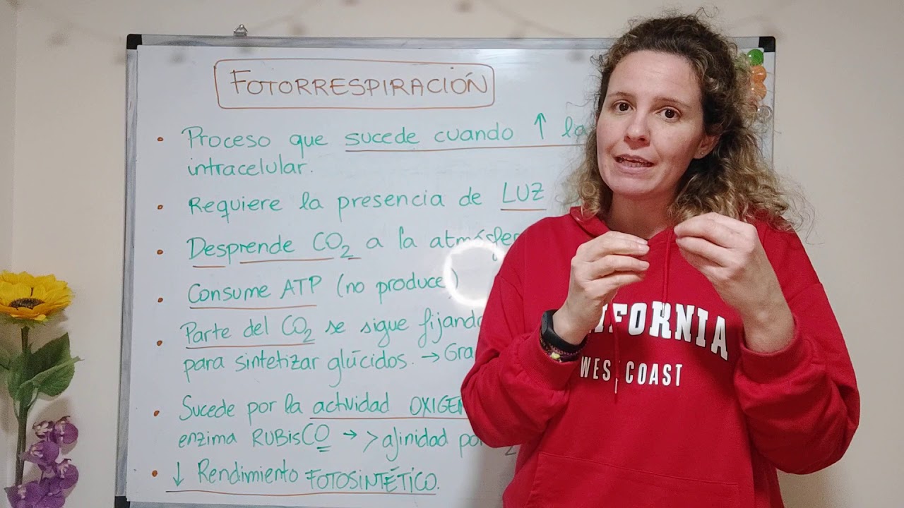 Anabolismo FOTORRESPIRACIÓN (7)