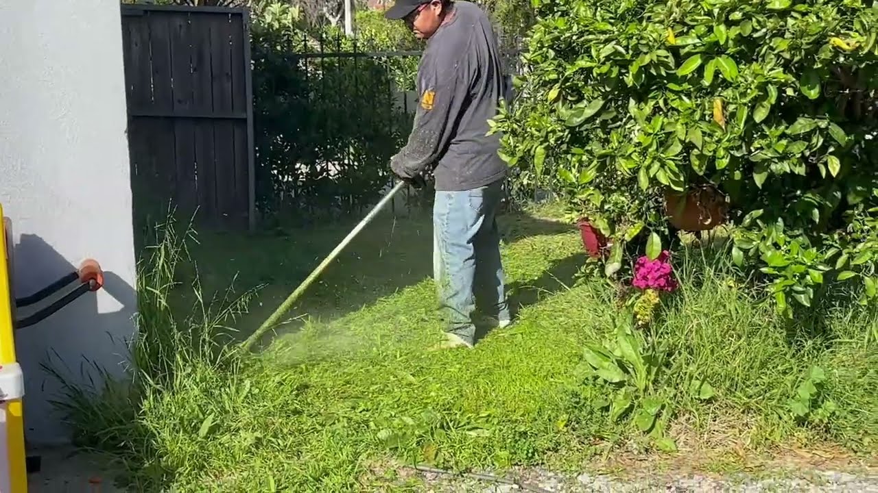 TRANSFORMING A YARD BEFORE & AFTER #lawncare  #landscape