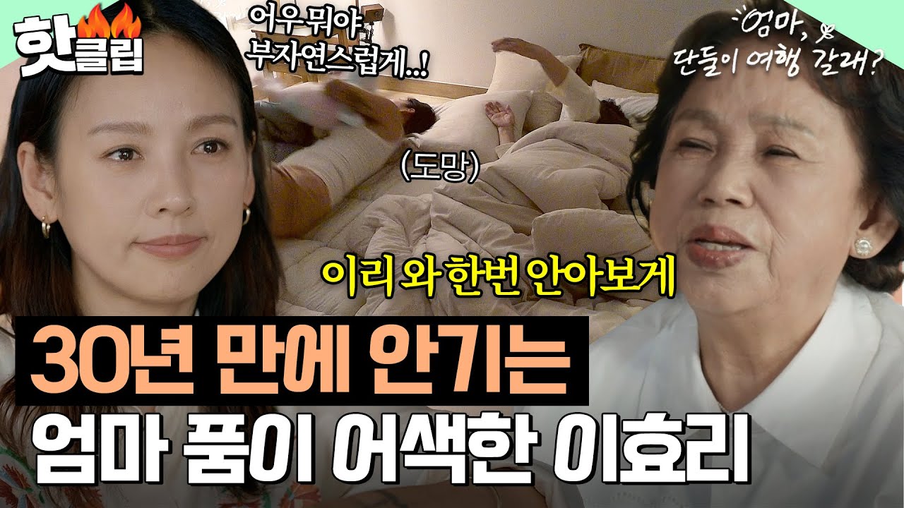 🔥안고 자고 싶은 엄마 vs 도망가는 딸🔥 이효리 모녀, 30년 만에 첫 합방 성공?!｜엄마, 단둘이 여행 갈래?｜JTBC 240623 방송 외