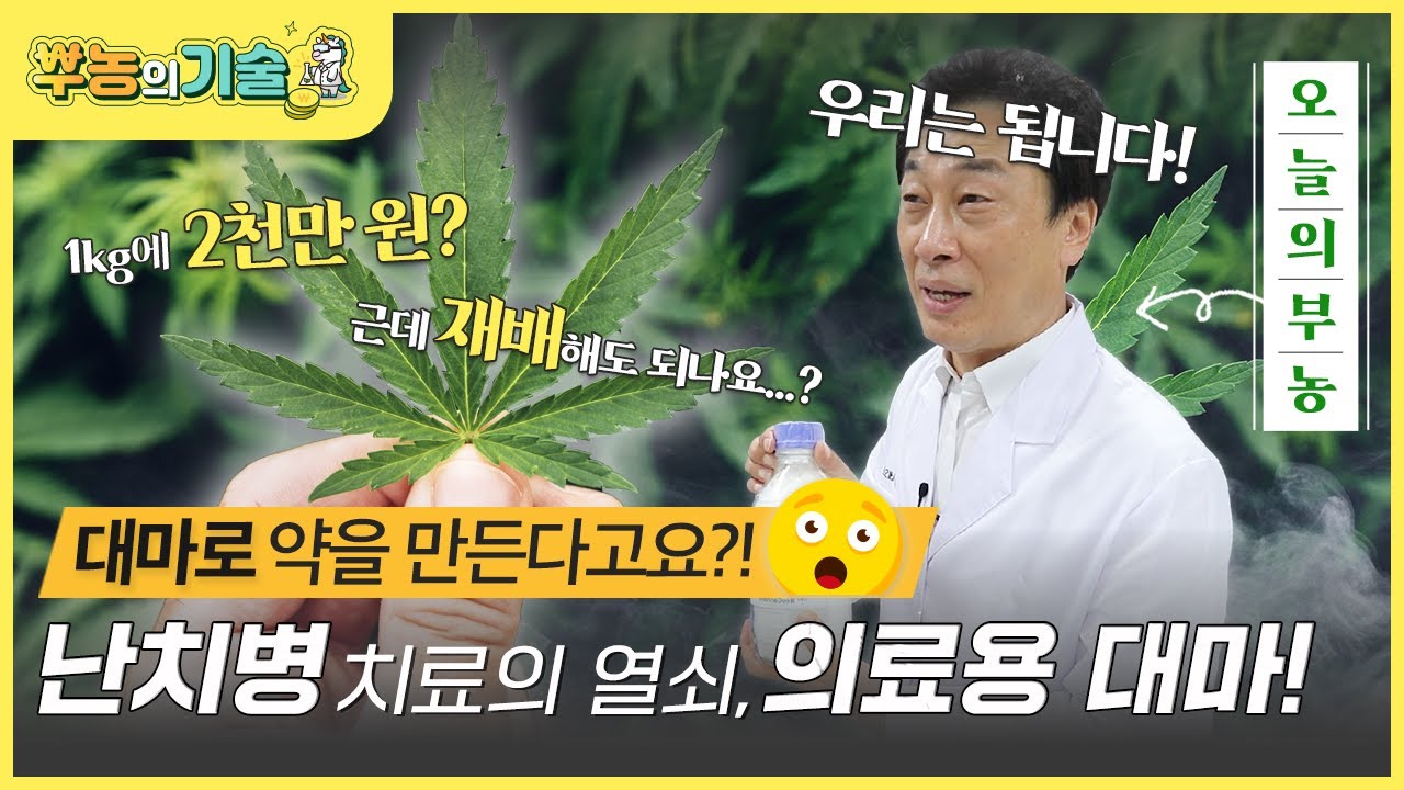 [뿌농의 기술] 대마로 난치병을 치료할 수 있다!? ‘의료용 대마’ 집중탐구👀