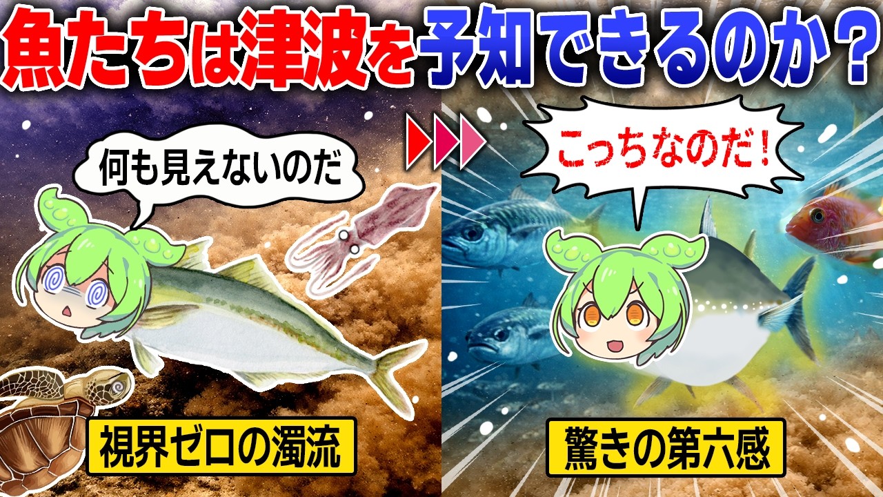 津波が来たら海の中の魚たちは何を感じどう行動するの？【ずんだもん＆ゆっくり解説】