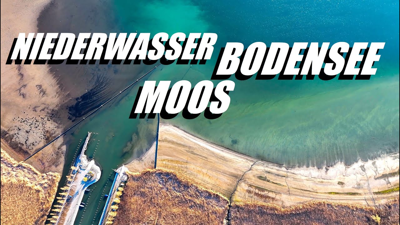 Niederwasser am Bodensee im April 2025 in Moos - 4K