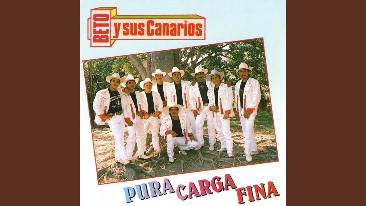 Carga Fina