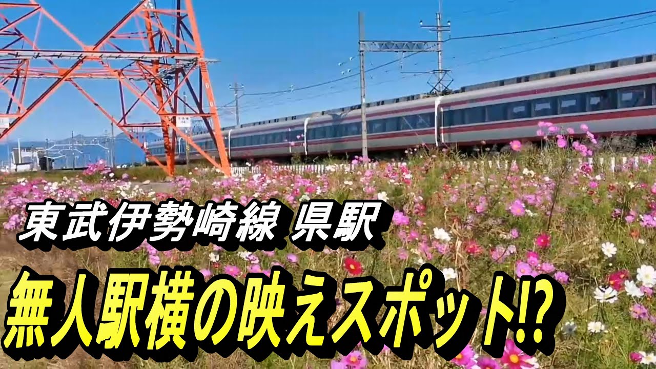 【無人駅で 特急りょうもう＆リバティの交換観れる ワンチャンゲット!?】朝の東武伊勢崎線・県駅 電車の発着・特急電車の通過。