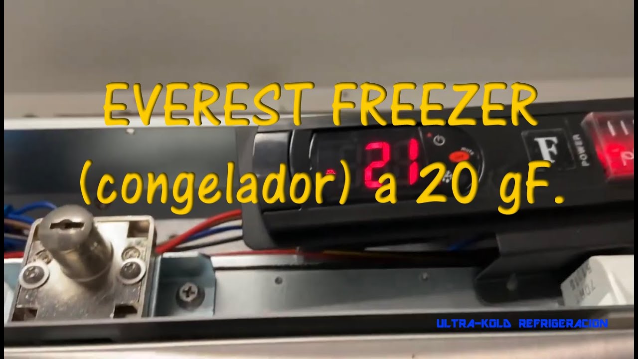 EVEREST FREEZER A 20g F