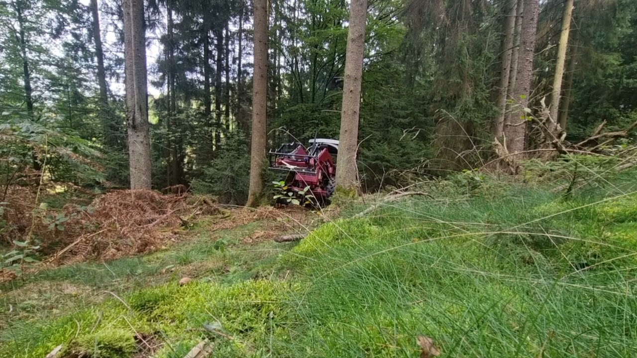 IHC 724 mit Oehler 4,5t Brennholz