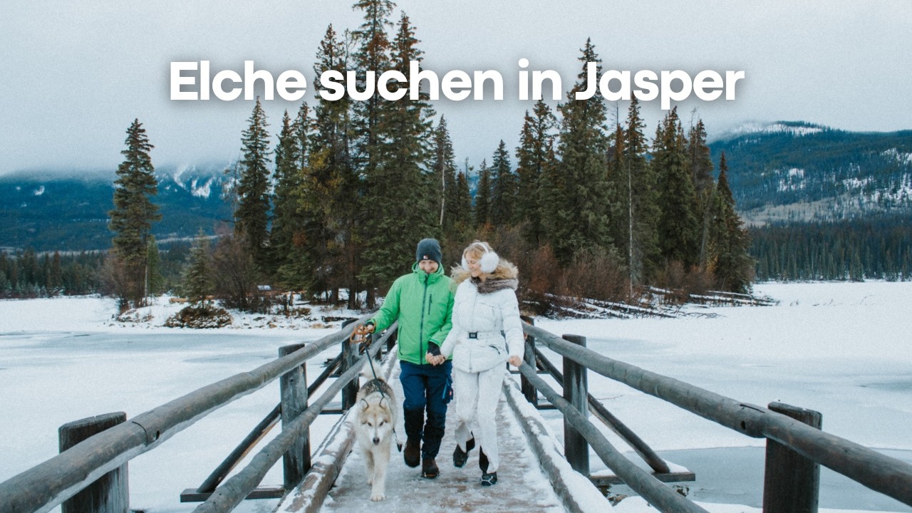 Wir haben Jasper nach den Waldbränden besucht und wollten unbedingt Elche sehen 🫎