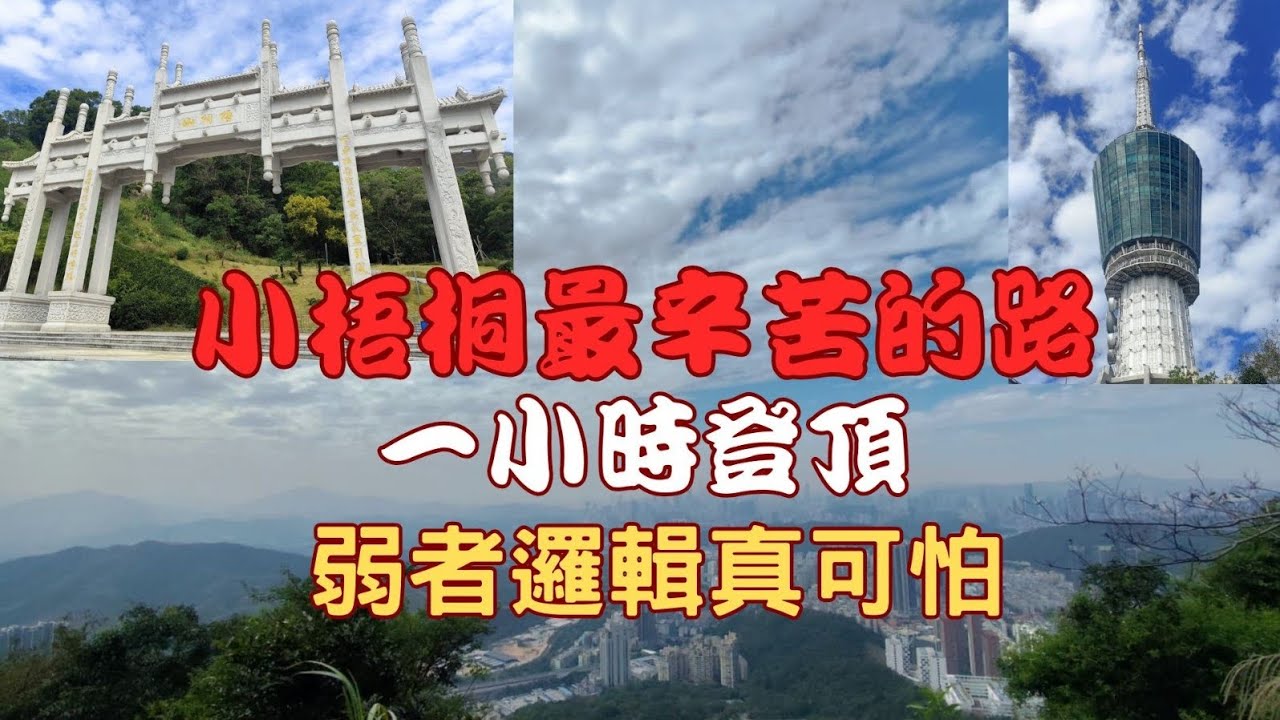 【挑戰深圳第一險階！直上小梧桐千級天梯，俯瞰深圳及香港的震撼絕景】弱者邏輯毀一生？爬山中悟出的殘酷人生真相。