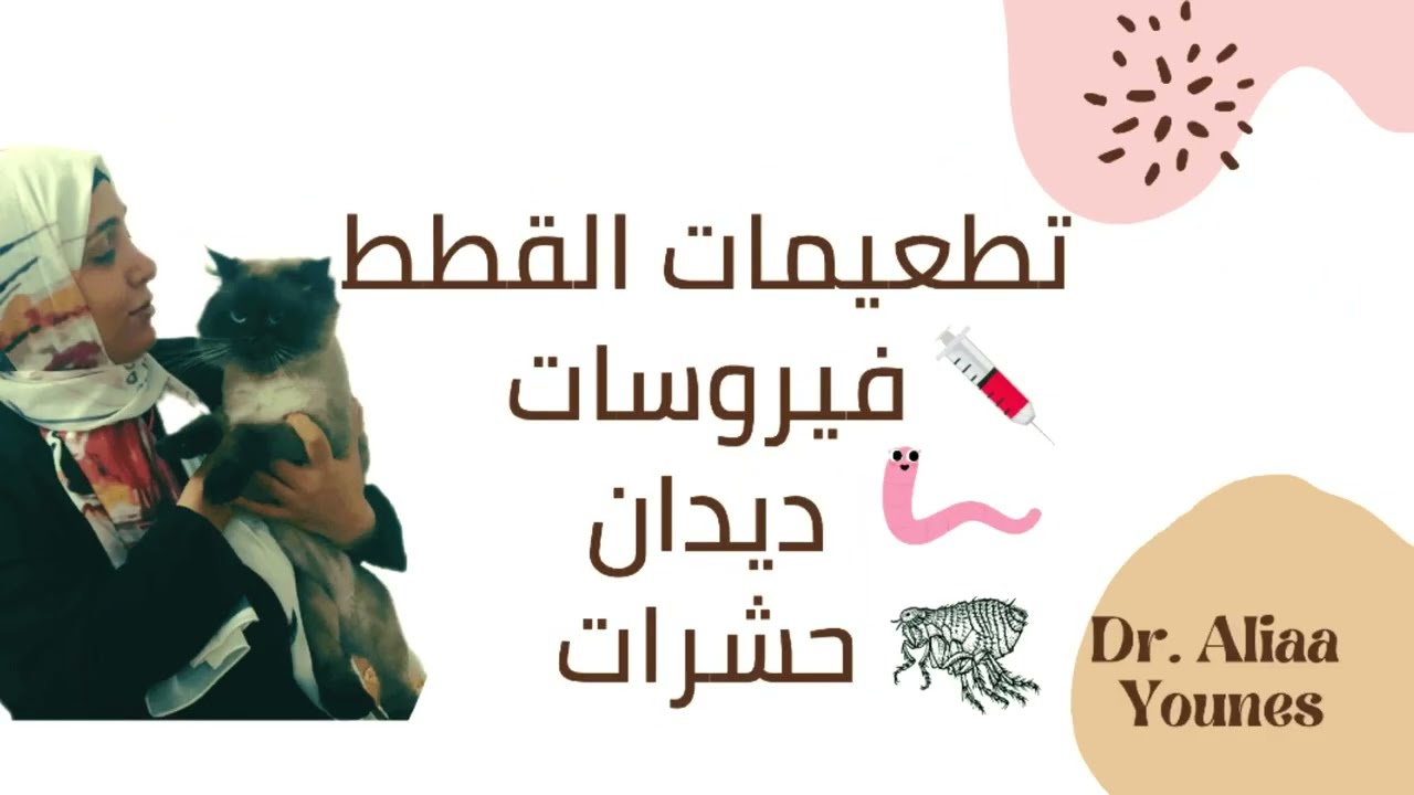 تطعيمات القطط | تطعيم الفيروسات | تطعيم الحشرات | تطعيم الديدان #تطعيمات_القطط