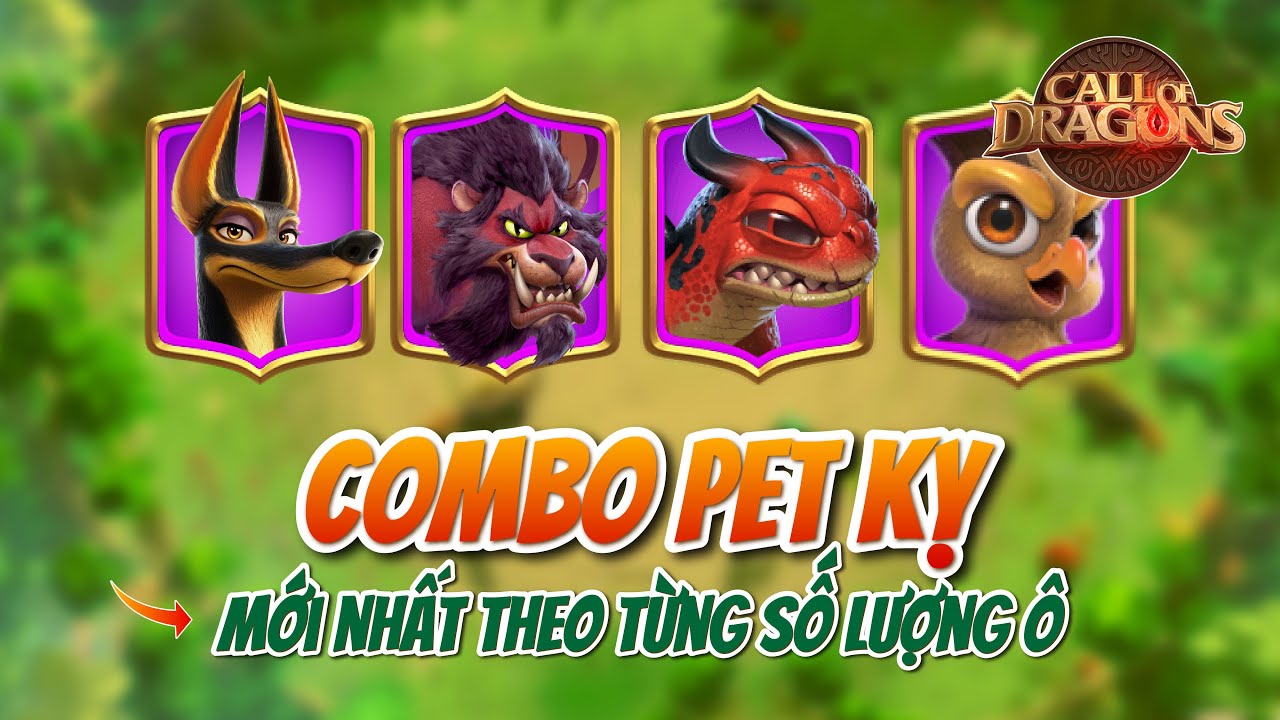 COMBO CHUẨN CHO PET KỴ 8 - 7 - 6 Ô | Call of Dragon | Chia sẻ lối cách học kỹ năng cho pet kỵ