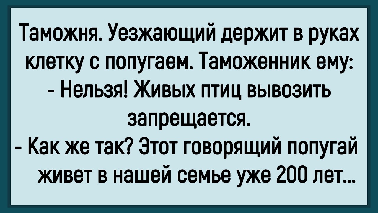 🤡Как Таможенник На Границе Попугая Не Пропускал! Сборник Смешных Анекдотов! Юмор! Позитив!