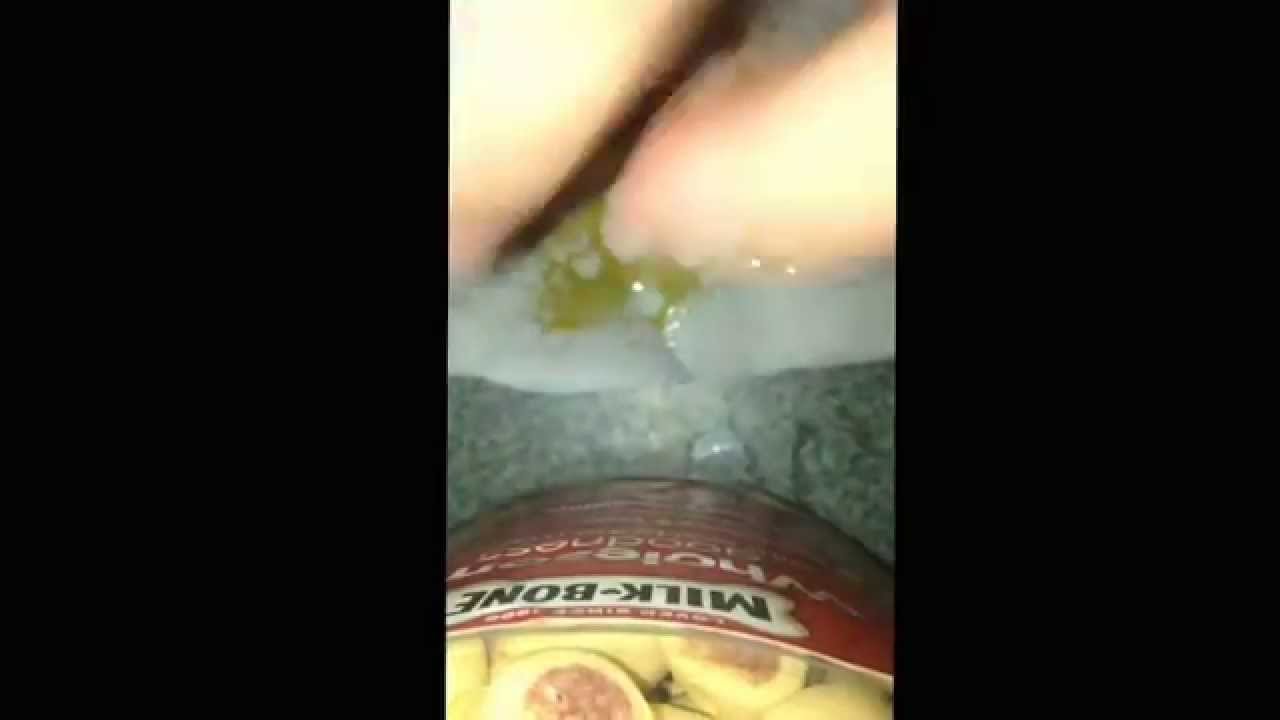 Collecting some purple hash berry
