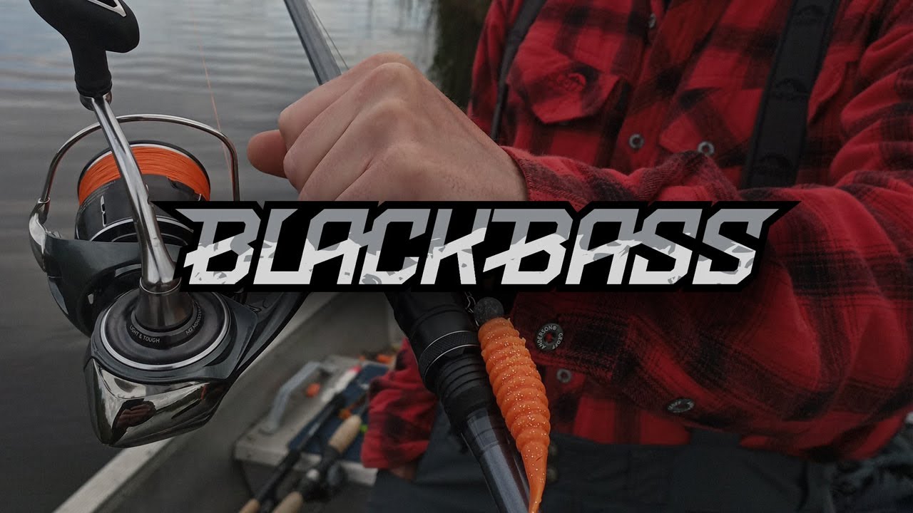 St. Croix Black Bass &ndash; New Series, New Opportunities