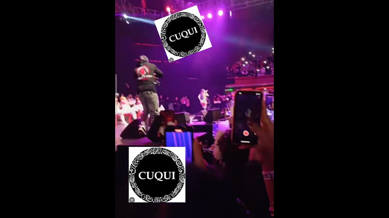 YAILIN EN CHILE #QUE LE PASO #