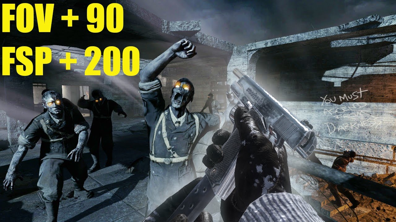 HOW TO UNLOCK FOV & FPS SETTING (Black Ops 1)