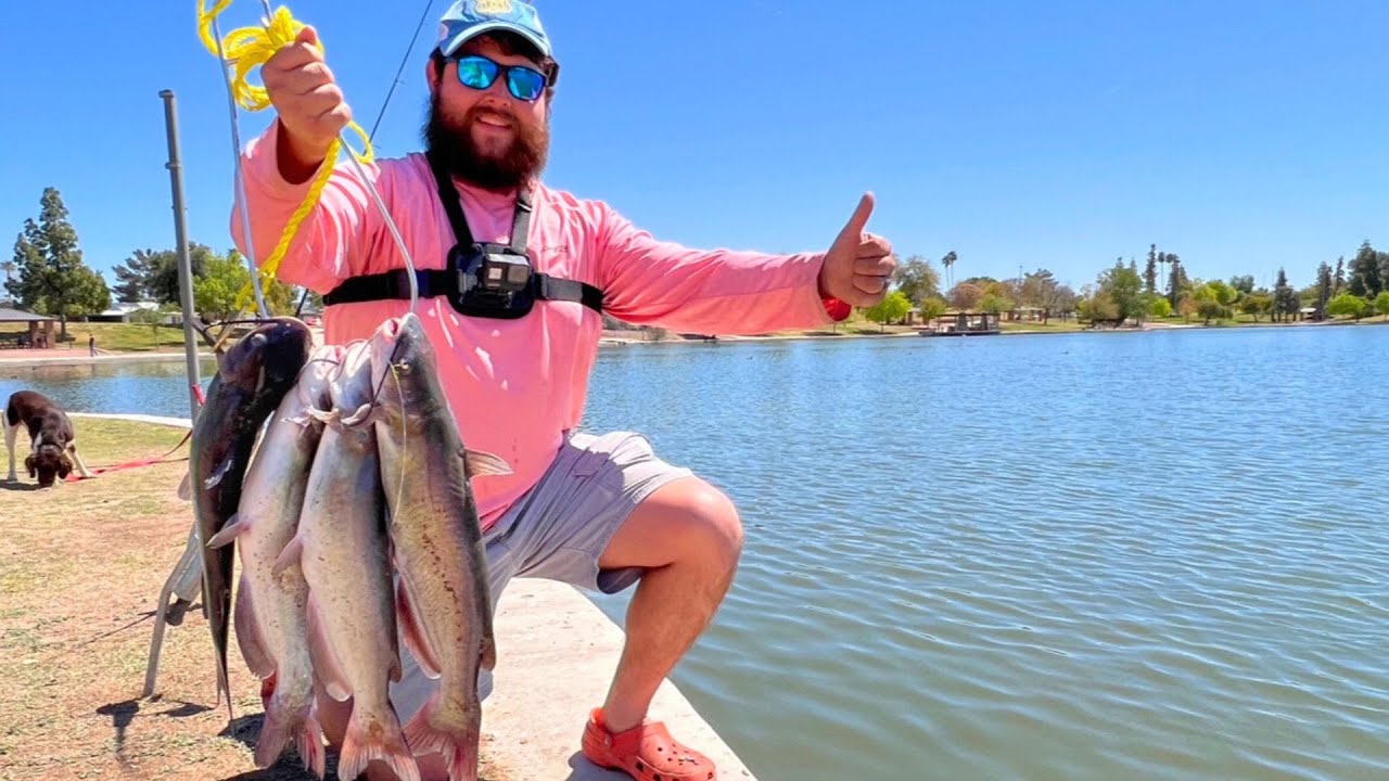 The Catfish Stock Has Begun! Arizona Pond Channel Catfishing