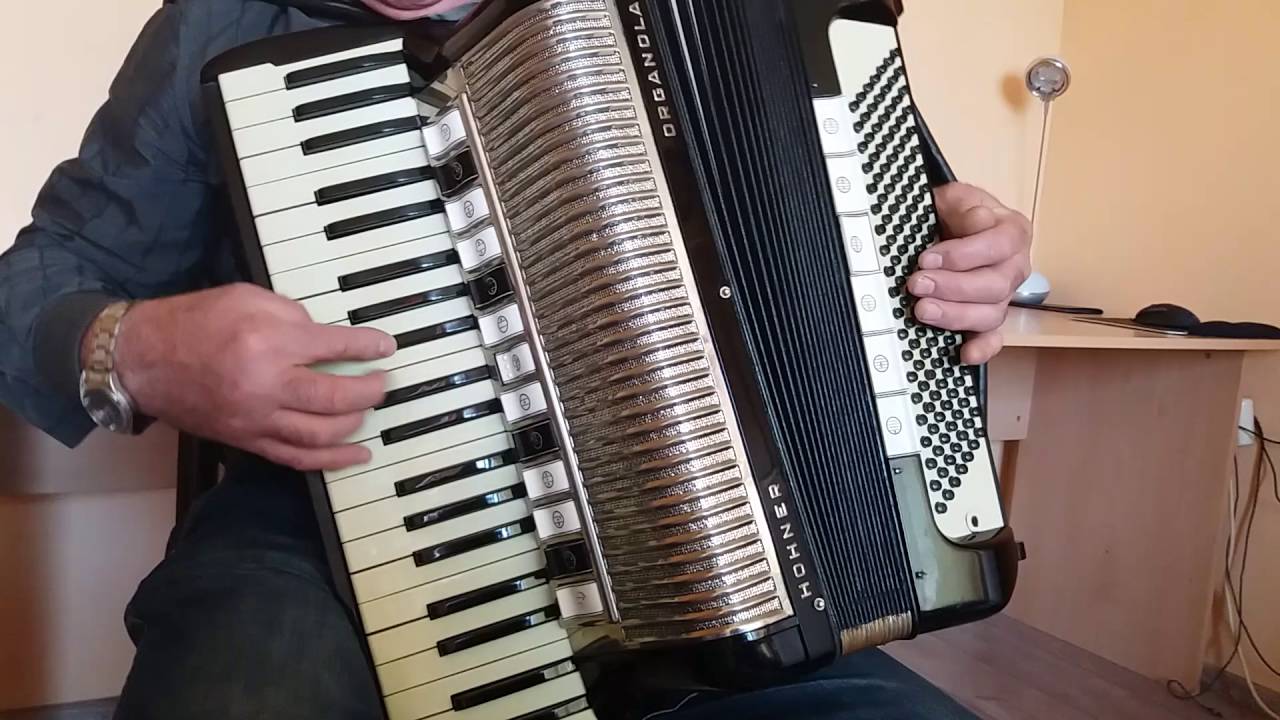 Accordion Hohner Organola 140 Bass Akkordeon Fisarmonica Italian Reeds + Case (2)