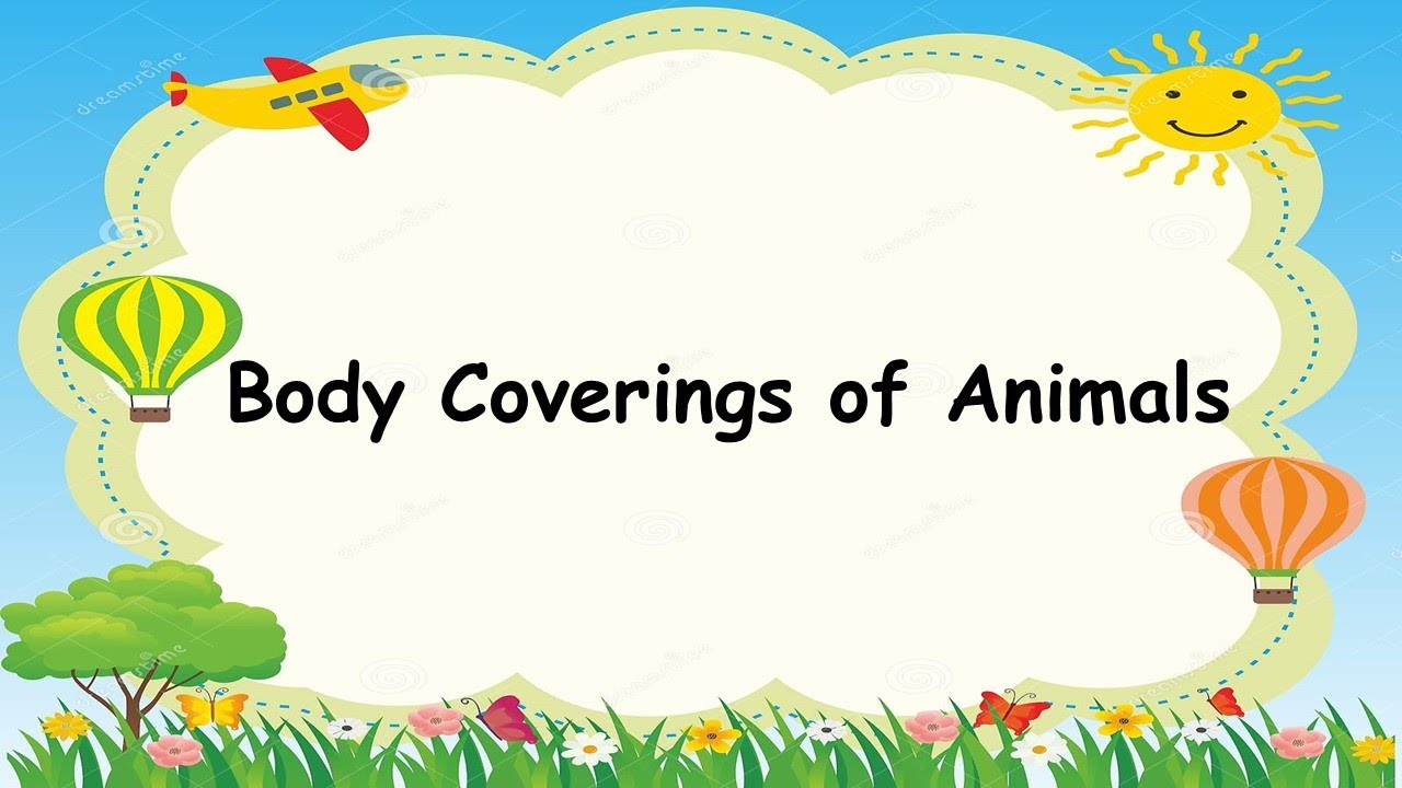 Body Coverings of Animals