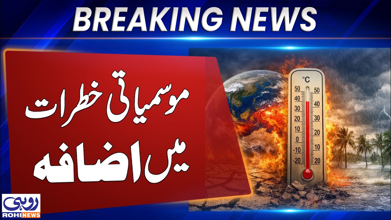 Maryam Nawaz and Dr. Musadik Malik Agree on Joint Strategy to Tackle Climate Challenges