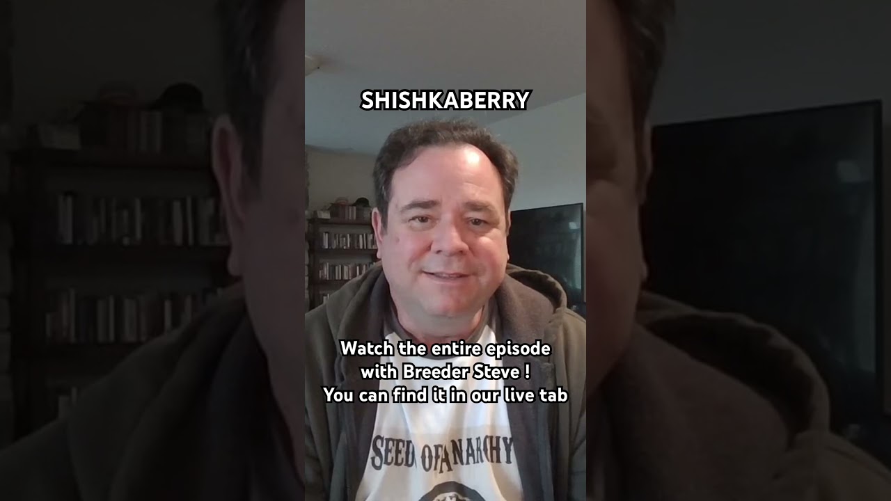 Заводчик Стив намекает на будущее #shishkaberry