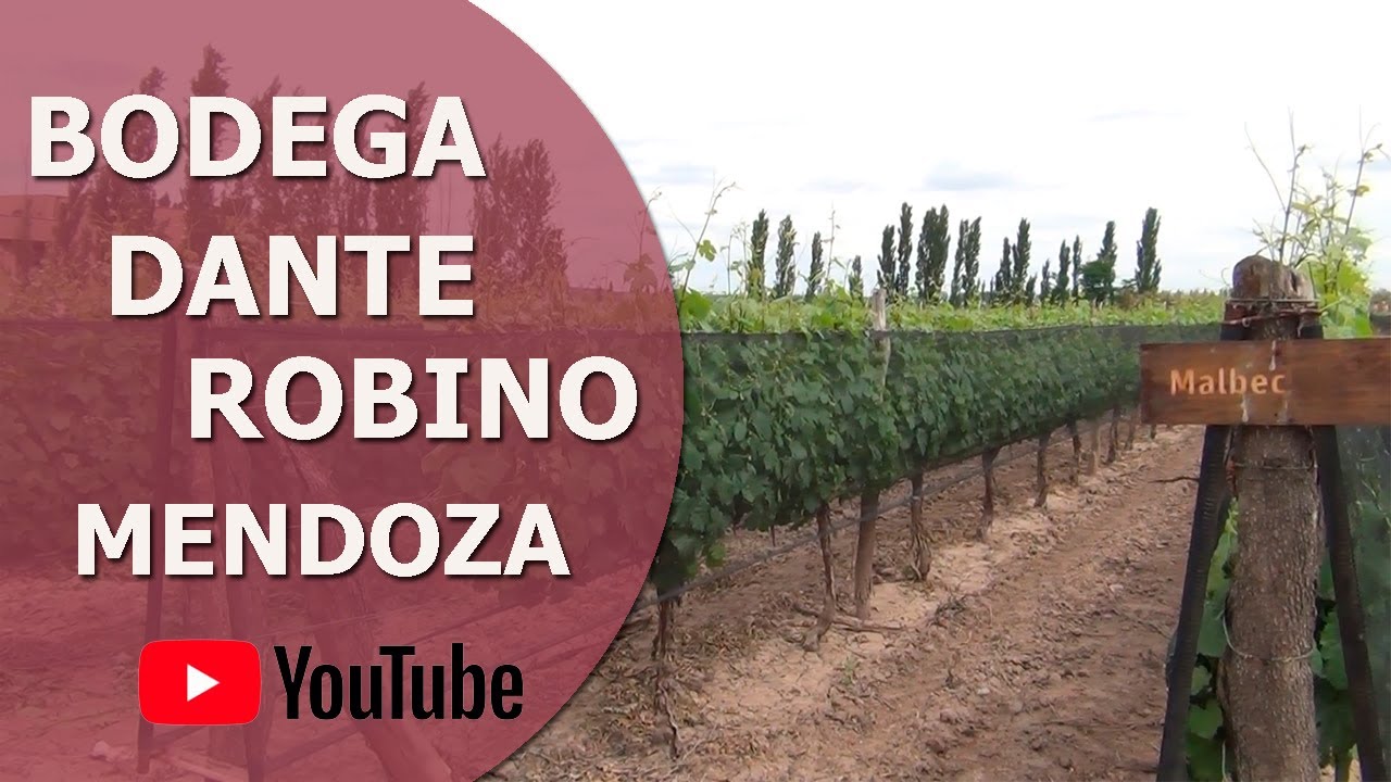 Bodega Dante Robino - Luján de Cuyo - Mendoza