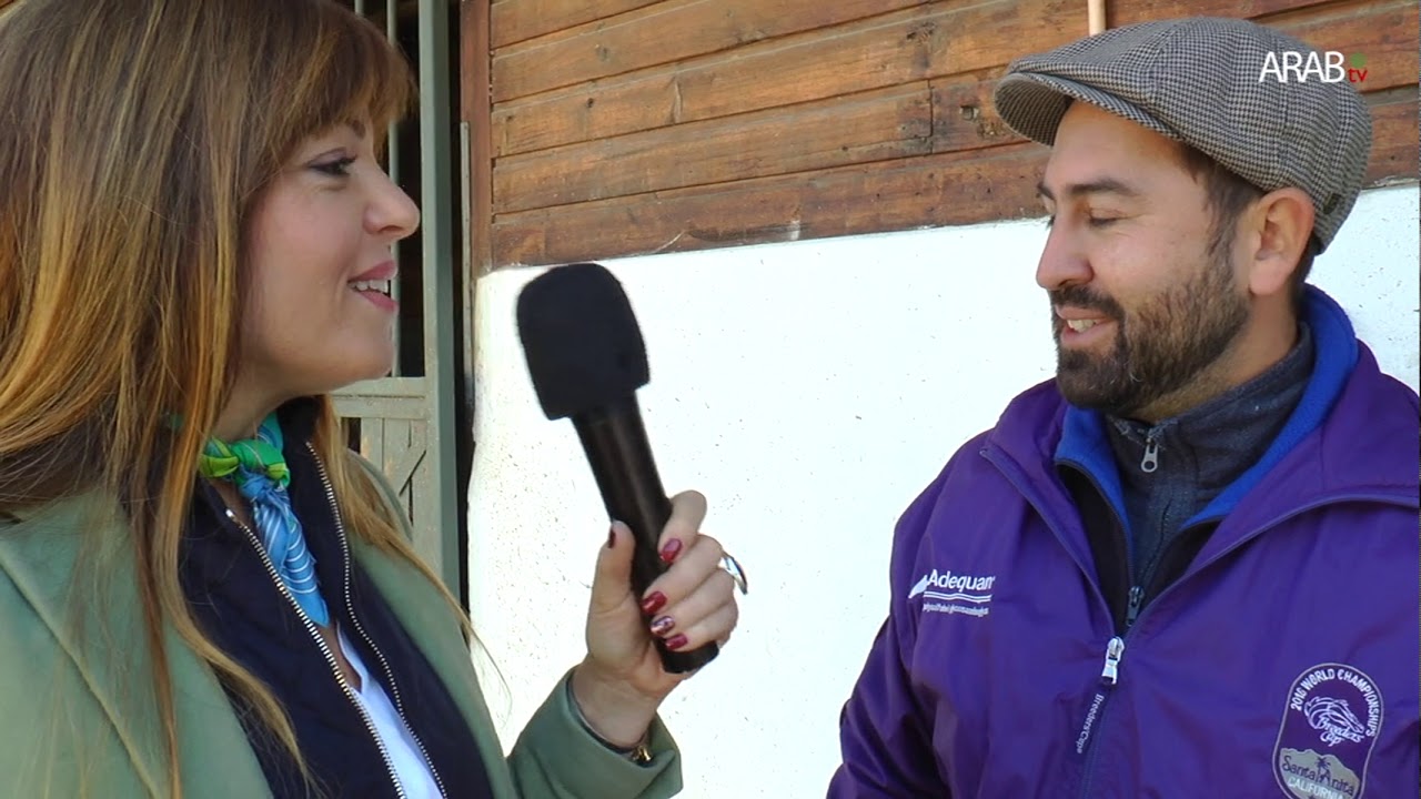 Hijos del Viento 4 | Preparador Sebastián Silva | Caballos árabes