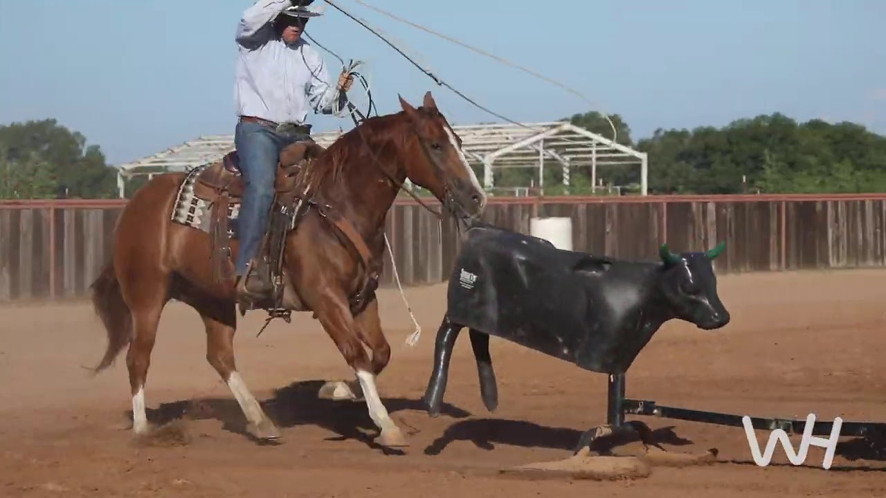Training with the Smarty with Slick Robison