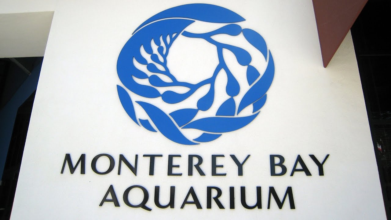 Monterey Bay Aquarium FULL TOUR