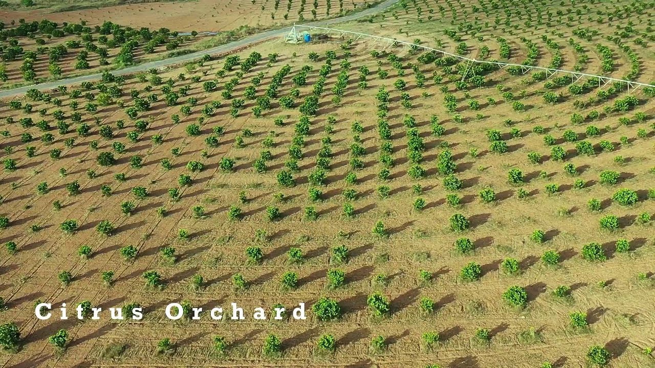Modern Technology - Agriculture Huge Machines in Pakistan | Bakhabar Kissan |