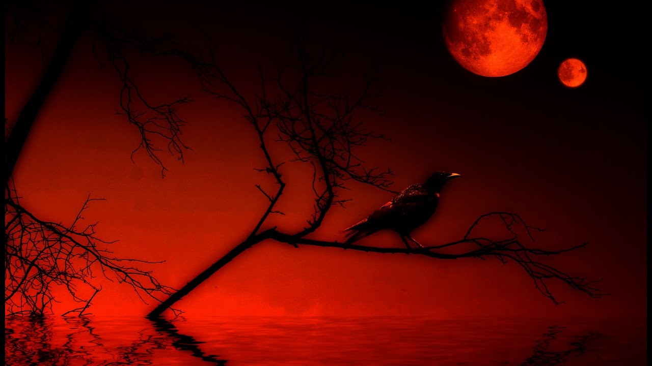 dark-ritual-ambient-(dark38-life of a dead crow)