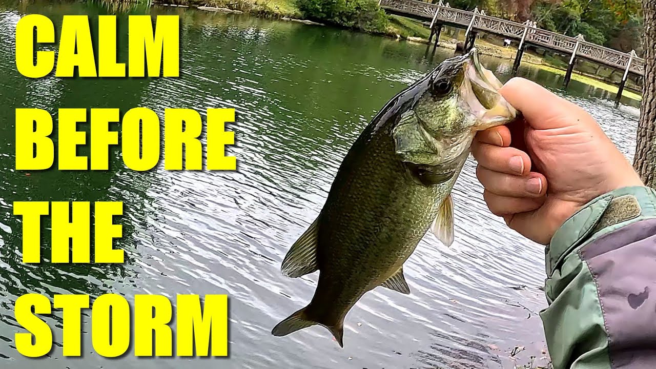Rod-Swapping and Pond-Hopping - Fishing NJ Ponds Before a Nor'easter