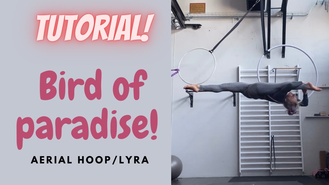 How to do a bird of paradise on aerial hoop /Lyra