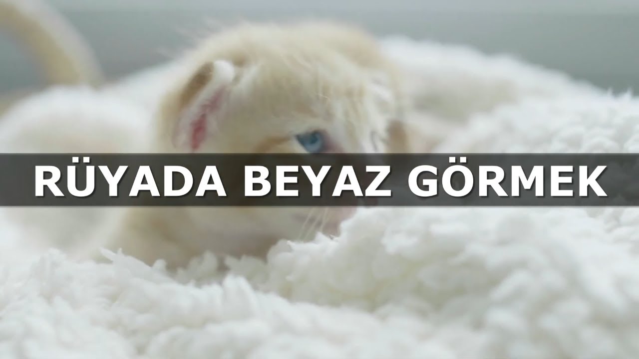 R&uuml;yada Beyaz G&ouml;rmek | İslami R&uuml;ya Tabiri | Dini R&uuml;ya Tabirleri