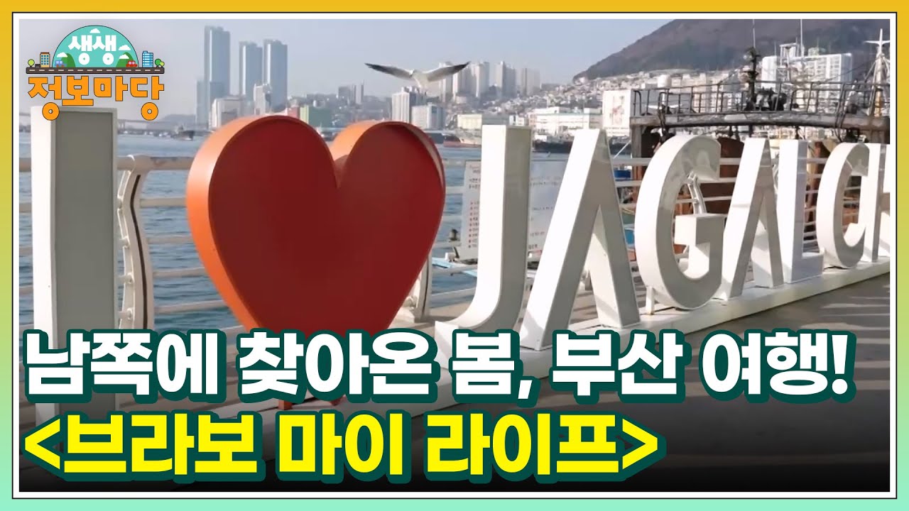 남쪽에 찾아온 봄, 부산 여행! ＜브라보 마이 라이프＞ MBN 250331 방송