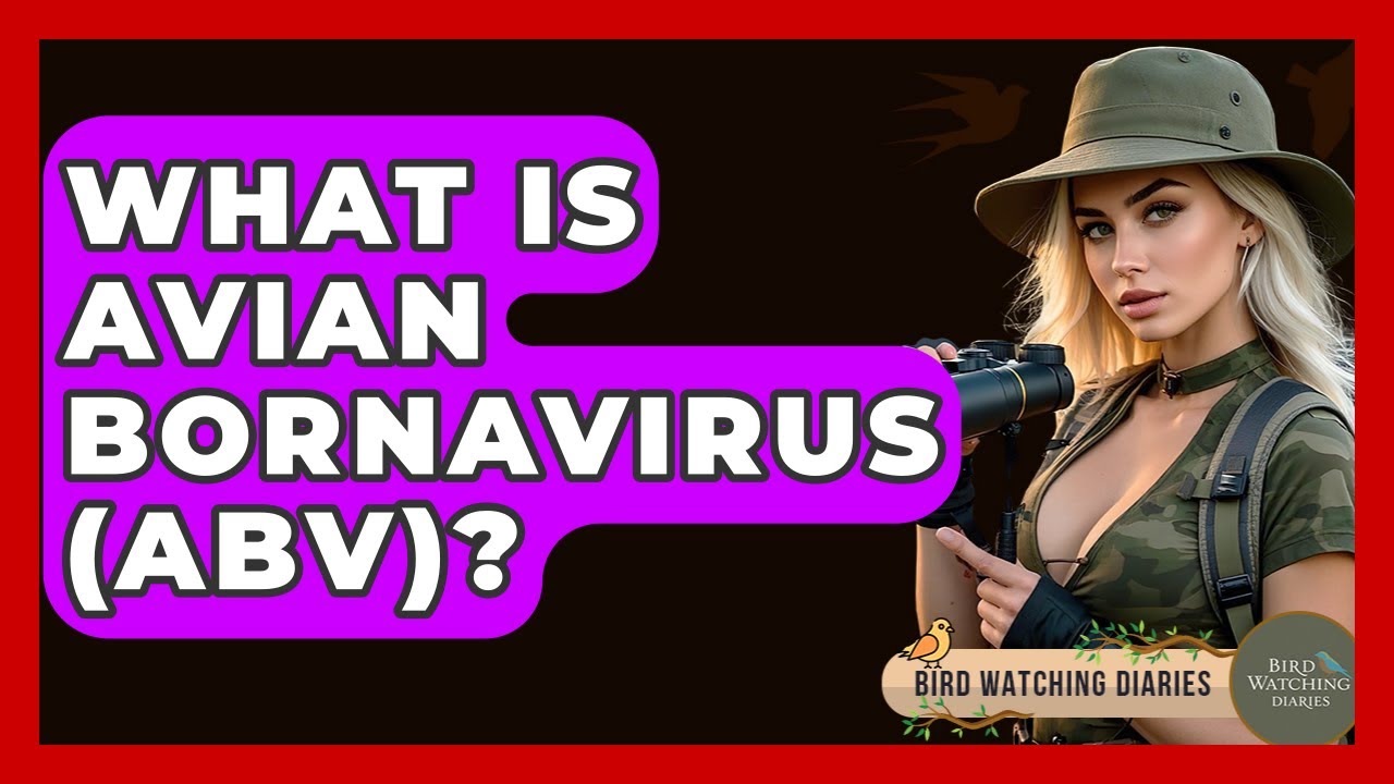 What Is Avian Bornavirus (ABV)? - Bird Watching Diaries