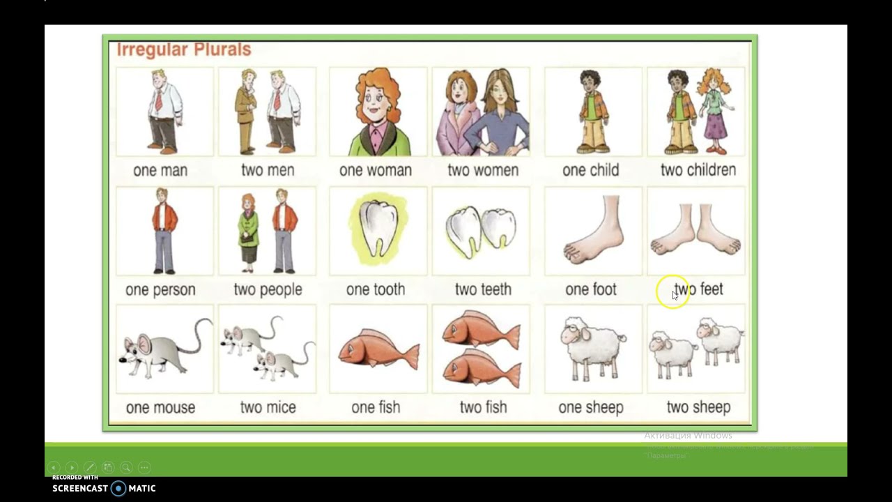 Множественное число (2 часть). Слова-исключения