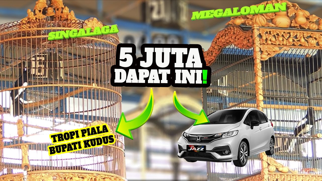 Kacer SINGALAGA Keok 🤣🤣🤣MEGALOMAN Bawa Pulang HONDA JAZZ || Piala Bupati Kudus 2022