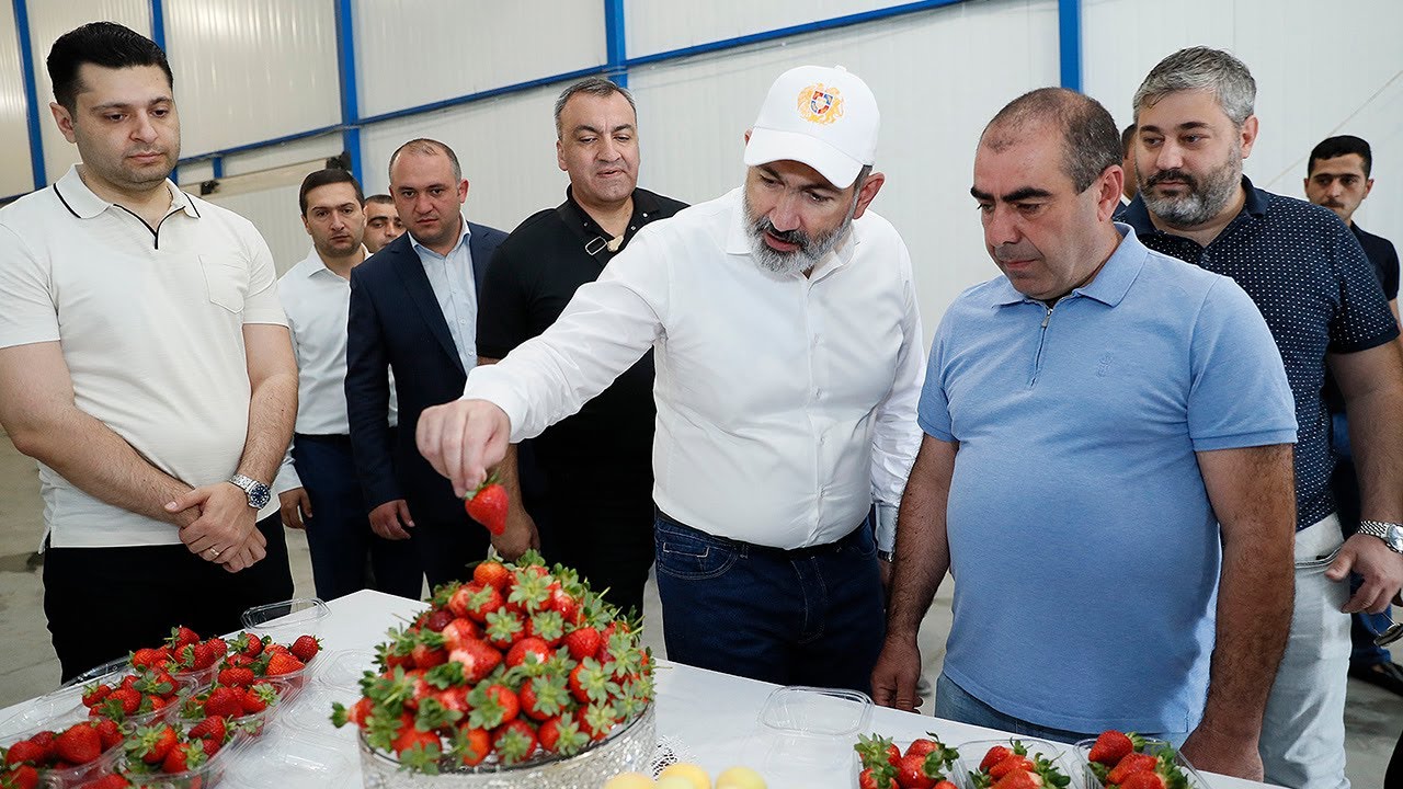 Վարչապետը Վերին Դվինում ծանոթացել է պետական օժանդակությամբ հիմնված սառնարանային տնտեսությանը