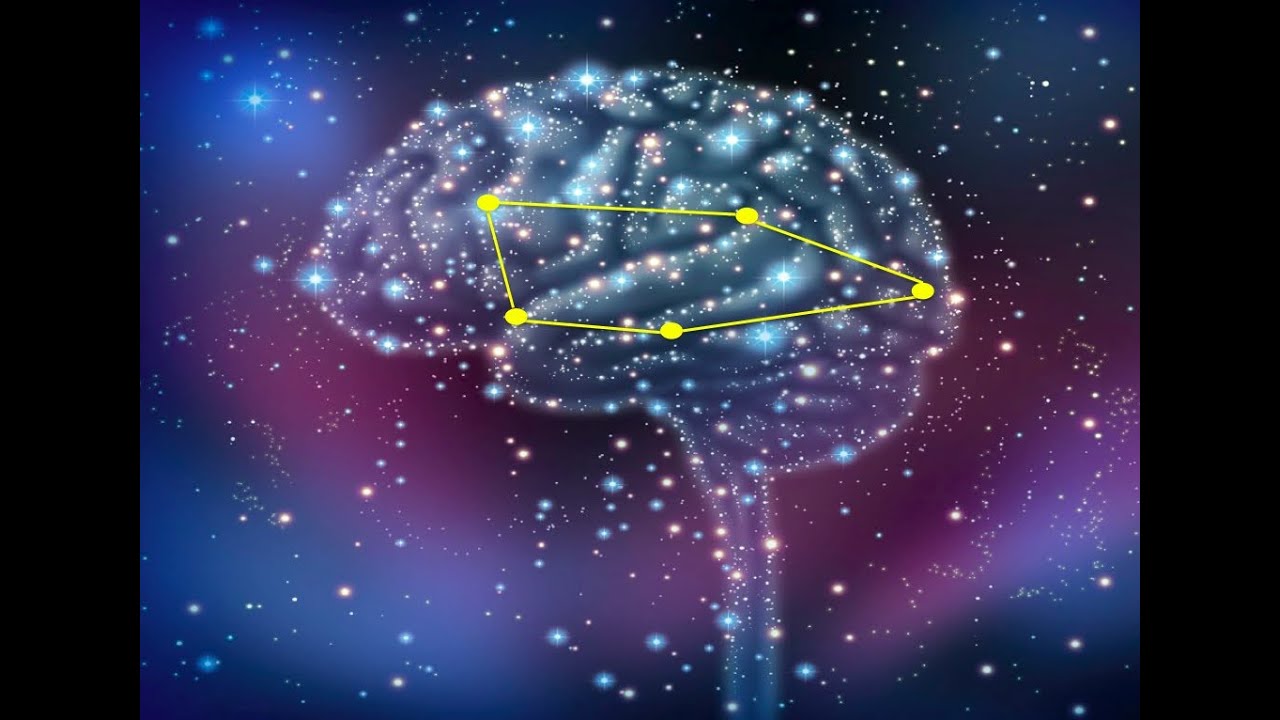 The Neuroscience of Love & Loneliness